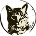 Luke (@luketheodr) Twitter profile photo Luke (@luketheodr) Twitter profile photo