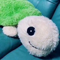 ちょびい (@hulandole450) Twitter profile photo