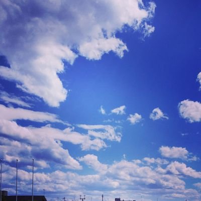 ヅキさんのプロフィール画像