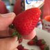Fruityfruitfruit (@sweetfoganddew) Twitter profile photo Fruityfruitfruit (@sweetfoganddew) Twitter profile photo