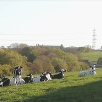 Red Lodge Farm Raw Milk (@lodgeraw) 's Twitter Profile