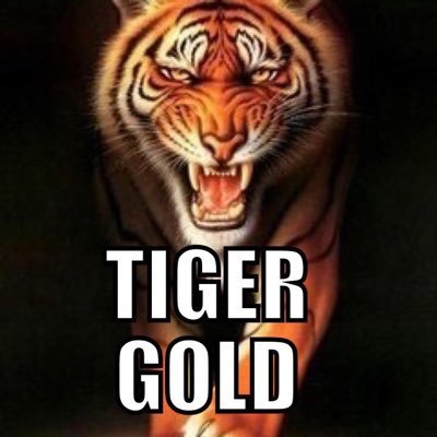 Devout Tiger Fan 🐅 Geaux Tigers 🐅 Join LSU Tiger Gold Facebook Group Below