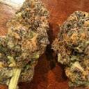 bill pappas - @kushxStacks - Twitter