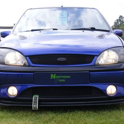 AntFezzer's profile picture. stuff and things