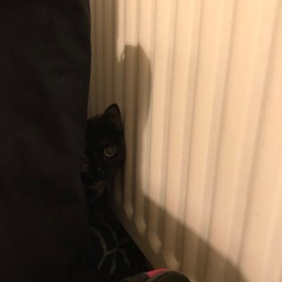 Palpatine_1's profile picture. Stay positive and be happy with your life.