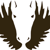 Prairie XC & TF (@pxctf) 's Twitter Profile