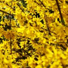 F7Dj9DnqVBPH0AE's profile picture. よろしくお願いします