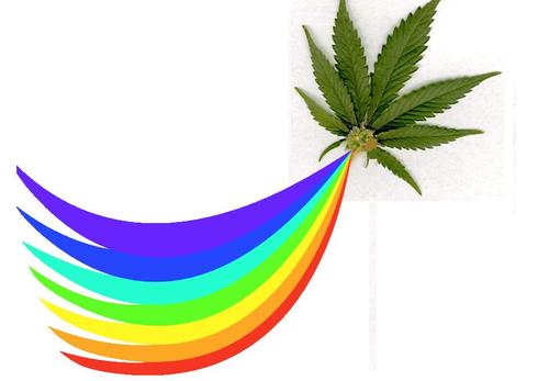 QueerStoners's profile picture. 
