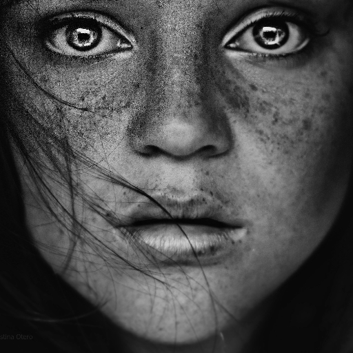 FilmExpeditions's profile picture. 