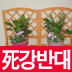 숲을 통한 유쾌한 세상을 꿈꾸는 생명의숲 활동가 입니다.