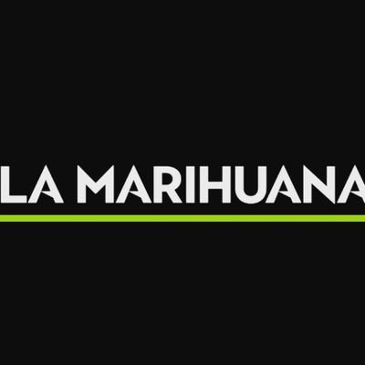 Página web nº1 de información cannábica en español.
Encontrarás actualidad, información de cultivo, variedades, cultura,...
Si quieres estar al dia visítanos