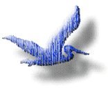 AADESNZ's profile picture. 