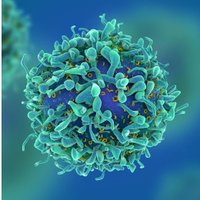 Thaxton Lab (@thaxtonlab) 's Twitter Profile