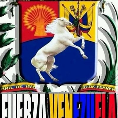 mayrabestit's profile picture. 