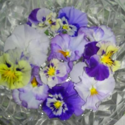 もこもこもこ C1pzadzj6vmnujz Twitter もこもこもこ C1pzadzj6vmnujz Twitter