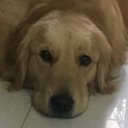 ann beverly ferrer - @annbevieMD - Twitter