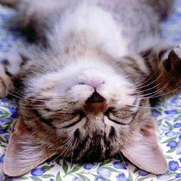 oo170's profile picture. 