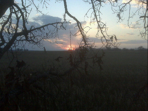 gccatt's profile picture. 