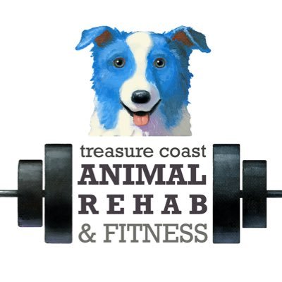 Our passion at Treasure Coast Animal Rehab is to help you as a pet parent provide a happy, healthy and pain free life for the furry family member.