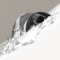 Pura Vida. The Ridge (@puravidaridge) 's Twitter Profile