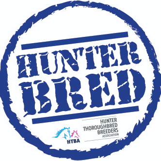 Hunter Thoroughbreds