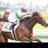 JRA VAN駆使するタイプ@アロゲート産駒頑張れ!のアイコン