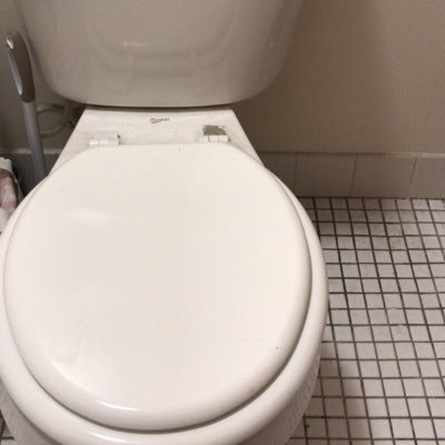 bububtoilettrub's profile picture. A dedicated team ready to help with all of your plumbing needs! (toilets only)