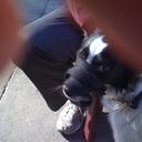 Jack Chillemi - @Jchillemi - Twitter