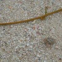 なかしです。 (@c7x7bzm653rx0km) 's Twitter Profile