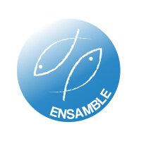 ENSAMBLE(@ENSAMBLE_EU) 's Twitter Profile Photo