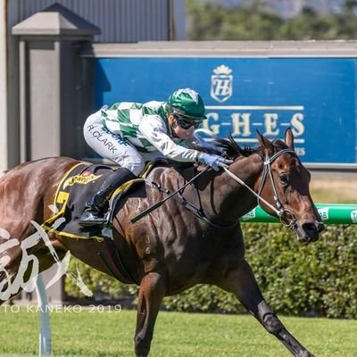 John Hyam Racing
Morphettville
High quality young team coming through
Please dont hesitate to contact us, enquiries welcome