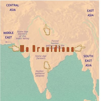 We Dravidians