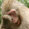 あなたの財布の中身を満タンにさせるマル秘情報を発信していきます。有益な情報をフォロワーさんに配信です。ぷんぷん金儲け、超極秘ファイル、会員制ビジネス、裏情報、アフィリエイト、求人、求職、SOHO、起業、独立、株、FX、ギャンブル、・・・などなど表にでない裏情報でがっつり稼ぐ副業術