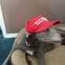 Ronald Reagan (@ronaldr63363258) Twitter profile photo Ronald Reagan (@ronaldr63363258) Twitter profile photo