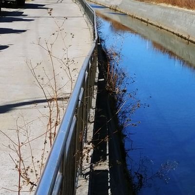 TDay0312's profile picture. Love animals & beautiful pictures/Deliver news a little late