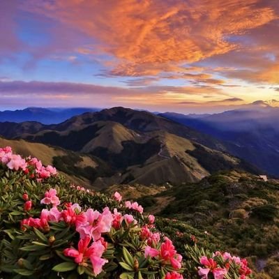 Semini90658444's profile picture. 