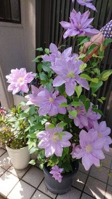 jun57948023's profile picture. 