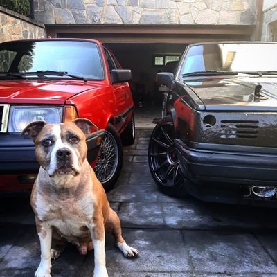 Tyson🐾 Thor⭐
