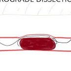 Passionate about vascular disease, its prevention, and its Rx. Fan of coronary intervention: #AWE, #ADR, #RDR, #Shockwave, #CTO, #CHIP, #CATRx, #Microcatheter