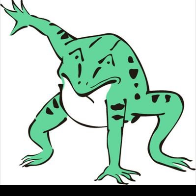 KAWAZU🌚モルモットさんのプロフィール画像