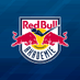 Red Bull Eishockey Akademie (@redbullakademie) Twitter profile photo