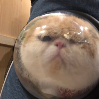 モモモモモモモモモモモモモモモさんのプロフィール画像