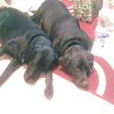 kerry griffith - @bubbles92x - Twitter