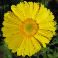 Blessed_Soul (@blessed_soul_12) 's Twitter Profile Photo