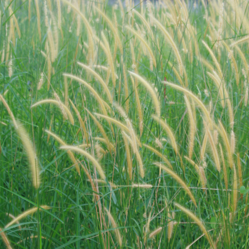 rerumputilalang's profile picture. Sejumput rumput di padang ilalang
Sebutir pasir di hamparan gurun