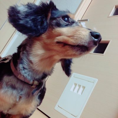 uxoxo10271's profile picture. 
