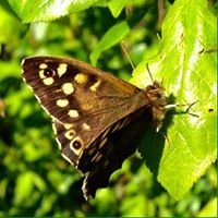 WormwoodScrubsAction (@scrubsaction) Twitter profile photo