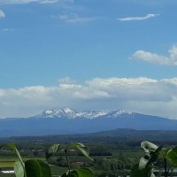 Falga Co (@falconature) 's Twitter Profile