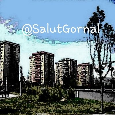 salutgornal's profile picture. creat per compartir experiències de salut.  Salut comunitària. Salut som tots
