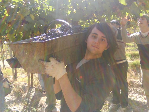 Existir es un hecho, vivir es un arte.... Ʒɔ̐